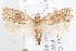  ( - 09-JBTOR-1240)  @13 [ ] CreativeCommons - Attribution (2010) Unspecified Centre for Biodiversity Genomics