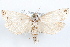  ( - 09-JBTOR-1243)  @13 [ ] CreativeCommons - Attribution (2010) Unspecified Centre for Biodiversity Genomics