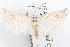  ( - 09-JBTOR-1259)  @13 [ ] CreativeCommons - Attribution (2010) Unspecified Centre for Biodiversity Genomics