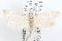  ( - 09-JBTOR-1260)  @11 [ ] CreativeCommons - Attribution (2010) Unspecified Centre for Biodiversity Genomics