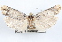  ( - 09-JBTOR-1267)  @11 [ ] CreativeCommons - Attribution (2010) Unspecified Centre for Biodiversity Genomics