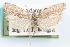  ( - 09-JBTOR-1268)  @14 [ ] CreativeCommons - Attribution (2010) Unspecified Centre for Biodiversity Genomics