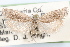  ( - 09-JBTOR-1270)  @11 [ ] CreativeCommons - Attribution (2010) Unspecified Centre for Biodiversity Genomics