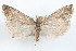 ( - 09-JBTOR-1278)  @11 [ ] CreativeCommons - Attribution (2010) Unspecified Centre for Biodiversity Genomics