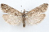  ( - 09-JBTOR-1280)  @11 [ ] CreativeCommons - Attribution (2010) Unspecified Centre for Biodiversity Genomics