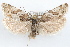  ( - 09-JBTOR-1282)  @11 [ ] CreativeCommons - Attribution (2010) Unspecified Centre for Biodiversity Genomics