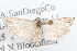  ( - 09-JBTOR-1289)  @13 [ ] CreativeCommons - Attribution (2010) Unspecified Centre for Biodiversity Genomics