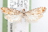  ( - 09-JBTOR-1301)  @13 [ ] CreativeCommons - Attribution (2010) Unspecified Centre for Biodiversity Genomics