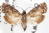  ( - 09-JBTOR-1305)  @14 [ ] CreativeCommons - Attribution (2010) Unspecified Centre for Biodiversity Genomics