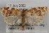  ( - 09-JBTOR-0847)  @11 [ ] CreativeCommons - Attribution (2010) Unspecified Centre for Biodiversity Genomics