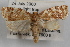  ( - 09-JBTOR-0848)  @11 [ ] CreativeCommons - Attribution (2010) Unspecified Centre for Biodiversity Genomics