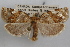  ( - 09-JBTOR-0849)  @11 [ ] CreativeCommons - Attribution (2010) Unspecified Centre for Biodiversity Genomics