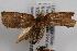  ( - 09-JBTOR-0853)  @13 [ ] CreativeCommons - Attribution (2010) Unspecified Centre for Biodiversity Genomics