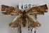  ( - 09-JBTOR-0854)  @13 [ ] CreativeCommons - Attribution (2010) Unspecified Centre for Biodiversity Genomics