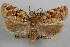  ( - 09-JBTOR-0856)  @11 [ ] CreativeCommons - Attribution (2010) Unspecified Centre for Biodiversity Genomics