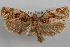  ( - 09-JBTOR-0857)  @11 [ ] CreativeCommons - Attribution (2010) Unspecified Centre for Biodiversity Genomics