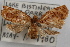  ( - 09-JBTOR-0858)  @13 [ ] CreativeCommons - Attribution (2010) Unspecified Centre for Biodiversity Genomics