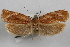  ( - 09-JBTOR-0860)  @12 [ ] CreativeCommons - Attribution (2010) Unspecified Centre for Biodiversity Genomics