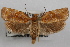  ( - 09-JBTOR-0861)  @13 [ ] CreativeCommons - Attribution (2010) Unspecified Centre for Biodiversity Genomics