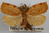  ( - 09-JBTOR-0866)  @14 [ ] CreativeCommons - Attribution (2010) Unspecified Centre for Biodiversity Genomics