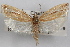  ( - 09-JBTOR-0878)  @11 [ ] CreativeCommons - Attribution (2010) Unspecified Centre for Biodiversity Genomics