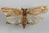  ( - 09-JBTOR-0879)  @11 [ ] CreativeCommons - Attribution (2010) Unspecified Centre for Biodiversity Genomics
