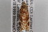  ( - 09-JBTOR-0880)  @12 [ ] CreativeCommons - Attribution (2010) Unspecified Centre for Biodiversity Genomics