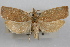  ( - 09-JBTOR-0938)  @11 [ ] CreativeCommons - Attribution (2010) Unspecified Centre for Biodiversity Genomics