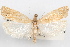  ( - 09-JBTOR-0951)  @11 [ ] CreativeCommons - Attribution (2010) Unspecified Centre for Biodiversity Genomics