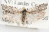  ( - 09-JBTOR-0956)  @13 [ ] CreativeCommons - Attribution (2010) Unspecified Centre for Biodiversity Genomics