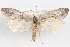  ( - 09-JBTOR-0959)  @11 [ ] CreativeCommons - Attribution (2010) Unspecified Centre for Biodiversity Genomics