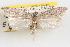  ( - 09-JBTOR-0963)  @11 [ ] CreativeCommons - Attribution (2010) Unspecified Centre for Biodiversity Genomics