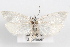  ( - 09-JBTOR-0970)  @13 [ ] CreativeCommons - Attribution (2010) Unspecified Centre for Biodiversity Genomics