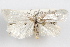  ( - 09-JBTOR-0974)  @11 [ ] CreativeCommons - Attribution (2010) Unspecified Centre for Biodiversity Genomics