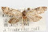  ( - 09-JBTOR-0980)  @11 [ ] CreativeCommons - Attribution (2010) Unspecified Centre for Biodiversity Genomics