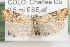  ( - 09-JBTOR-0987)  @13 [ ] CreativeCommons - Attribution (2010) Unspecified Centre for Biodiversity Genomics