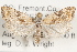  (Anopina wrighti - 09-JBTOR-0989)  @14 [ ] CreativeCommons - Attribution (2010) Unspecified Centre for Biodiversity Genomics