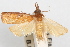  ( - 09-JBTOR-1001)  @13 [ ] CreativeCommons - Attribution (2010) Unspecified Centre for Biodiversity Genomics