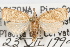  ( - 09-JBTOR-1011)  @11 [ ] CreativeCommons - Attribution (2010) Unspecified Centre for Biodiversity Genomics