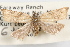  ( - 09-JBTOR-1012)  @11 [ ] CreativeCommons - Attribution (2010) Unspecified Centre for Biodiversity Genomics