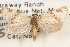  ( - 09-JBTOR-1013)  @11 [ ] CreativeCommons - Attribution (2010) Unspecified Centre for Biodiversity Genomics