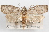  ( - 09-JBTOR-1014)  @11 [ ] CreativeCommons - Attribution (2010) Unspecified Centre for Biodiversity Genomics
