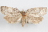  ( - 09-JBTOR-1016)  @11 [ ] CreativeCommons - Attribution (2010) Unspecified Centre for Biodiversity Genomics