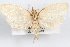  ( - 09-JBTOR-1024)  @13 [ ] CreativeCommons - Attribution (2010) Unspecified Centre for Biodiversity Genomics