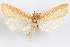  ( - 09-JBTOR-1029)  @11 [ ] CreativeCommons - Attribution (2010) Unspecified Centre for Biodiversity Genomics