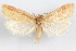  ( - 09-JBTOR-1030)  @11 [ ] CreativeCommons - Attribution (2010) Unspecified Centre for Biodiversity Genomics