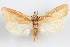  ( - 09-JBTOR-1031)  @11 [ ] CreativeCommons - Attribution (2010) Unspecified Centre for Biodiversity Genomics
