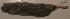  ( - CIBNOR 2868)  @11 [ ] Unspecified (default): All Rights Reserved  Unspecified Unspecified