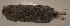  ( - CIBNOR 8114)  @13 [ ] Unspecified (default): All Rights Reserved  Unspecified Unspecified