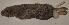  ( - CIBNOR 888)  @11 [ ] Unspecified (default): All Rights Reserved  Unspecified Unspecified